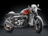 Chrániče přední vidlice RIZOMA pro TRIUMPH Street Twin 900, hliník (2ks)